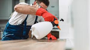 Best Real Estate Pest Inspections  in Troy, IL